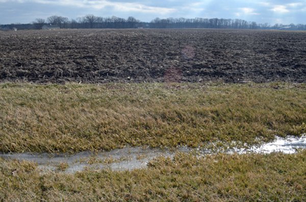 East Allen County Land Auction - 40 Acres in 2 Tracts